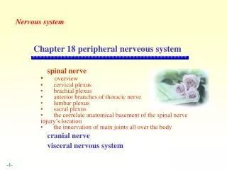 spinal nerve overview cervical plexus brachial plexus anterior branches of thoracic nerve