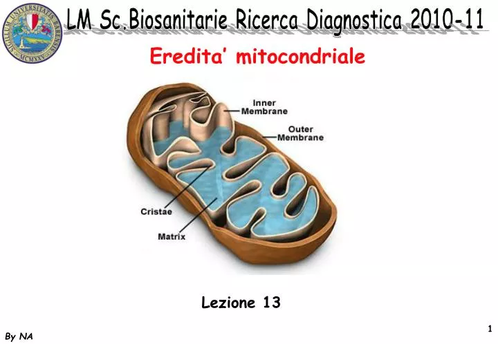 eredita mitocondriale