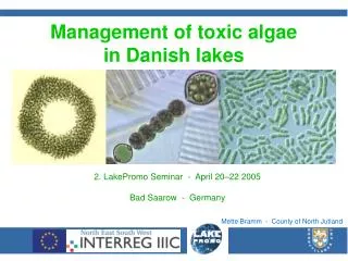 Management of toxic algae in Danish lakes