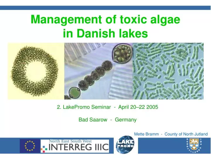 management of toxic algae in danish lakes