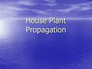 House Plant Propagation
