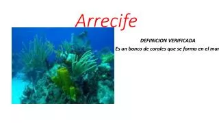 arrecife