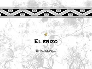 el erizo