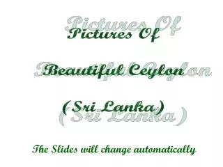 Pictures Of Beautiful Ceylon (Sri Lanka)