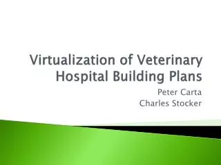 Virtualization of Veterinary Hospital Building Plans