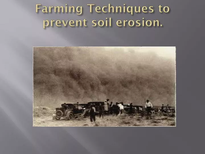 farming techniques to prevent soil erosion