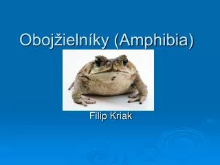 oboj ieln ky amphibia