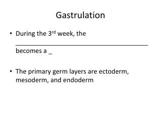 gastrulation