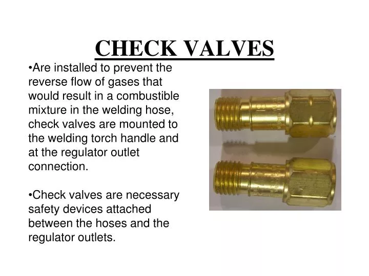 check valves