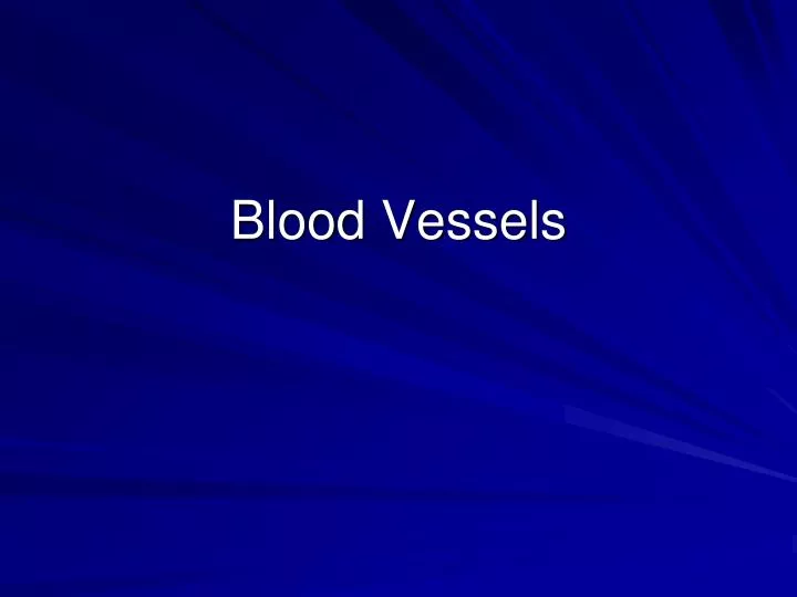 blood vessels