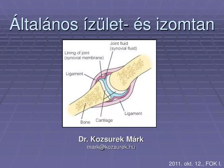 ltal nos z let s izomtan