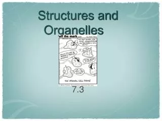 Structures and Organelles