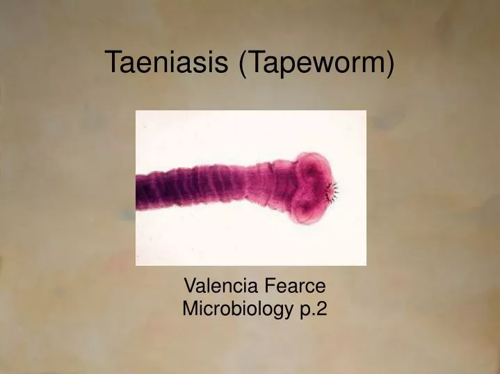 taeniasis tapeworm