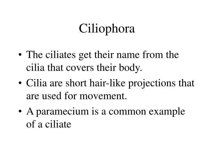ciliophora