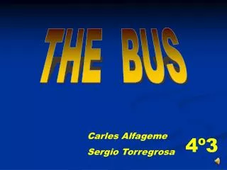 THE BUS