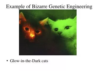 Example of Bizarre Genetic Engineering