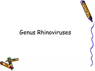 Genus Rhinoviruses