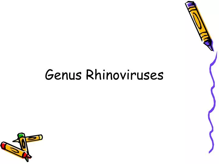 genus rhinoviruses