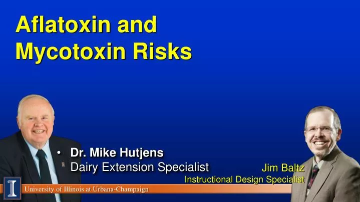 aflatoxin and mycotoxin risks