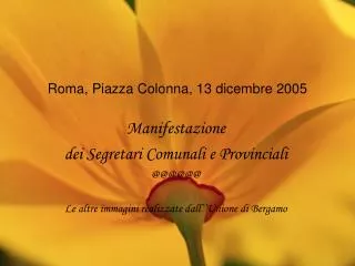 roma piazza colonna 13 dicembre 2005