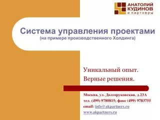 Система управления проектами (на примере производственного Холдинга)