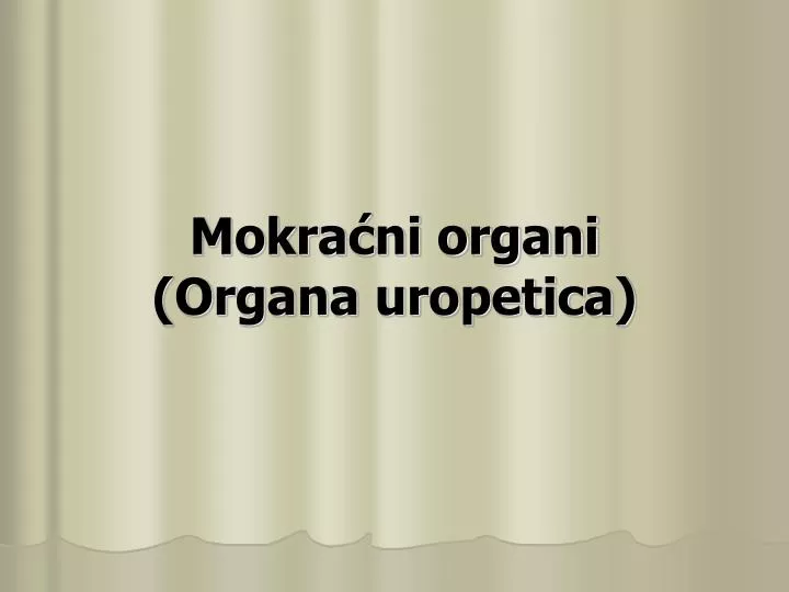 mokra ni organi organa uropetica