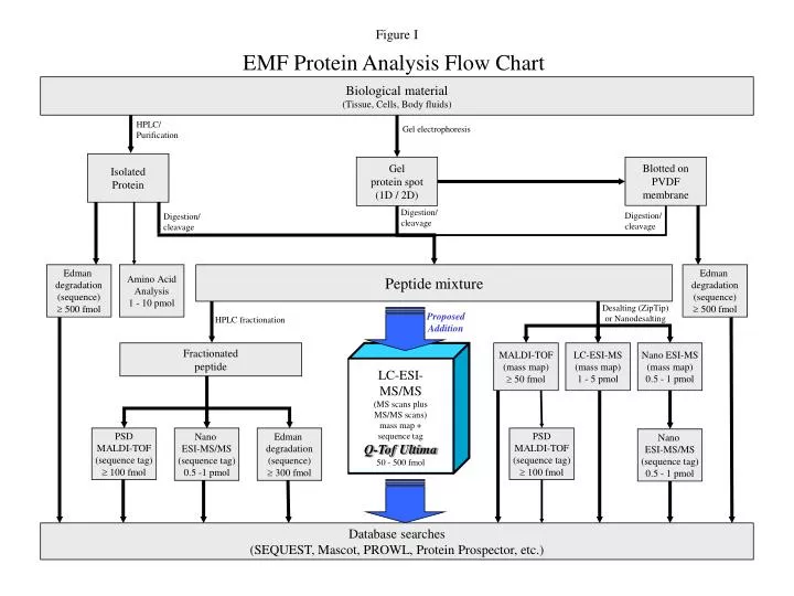 emf protein analysis flow chart
