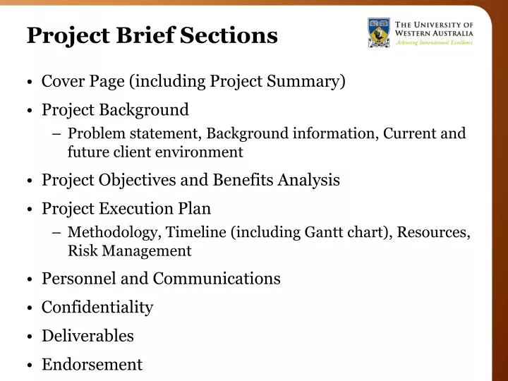 project brief sections
