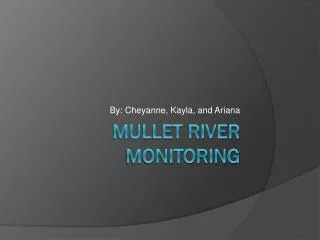 Mullet river monitoring