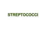 STREPTOCOCCI - slide 1