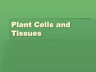 Plant Cells and Tissues