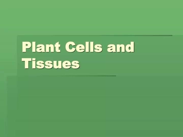 plant cells and tissues