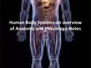 Human Body Systems-an overview of Anatomy and Physiology-Notes