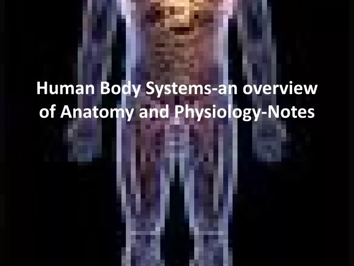 human body systems an overview of anatomy and physiology notes