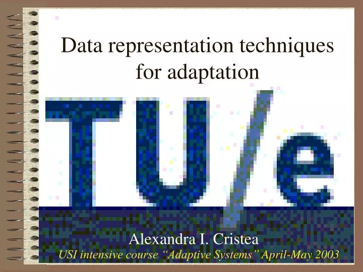data representation techniques for adaptation