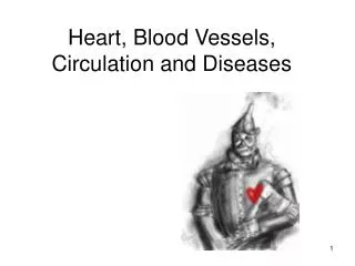 Heart, Blood Vessels, Circulation and Diseases