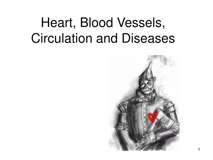 heart blood vessels circulation and diseases