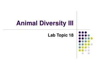Animal Diversity III