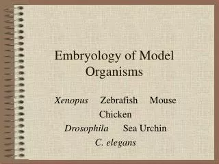 Embryology of Model Organisms