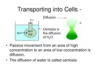 Transporting into Cells -