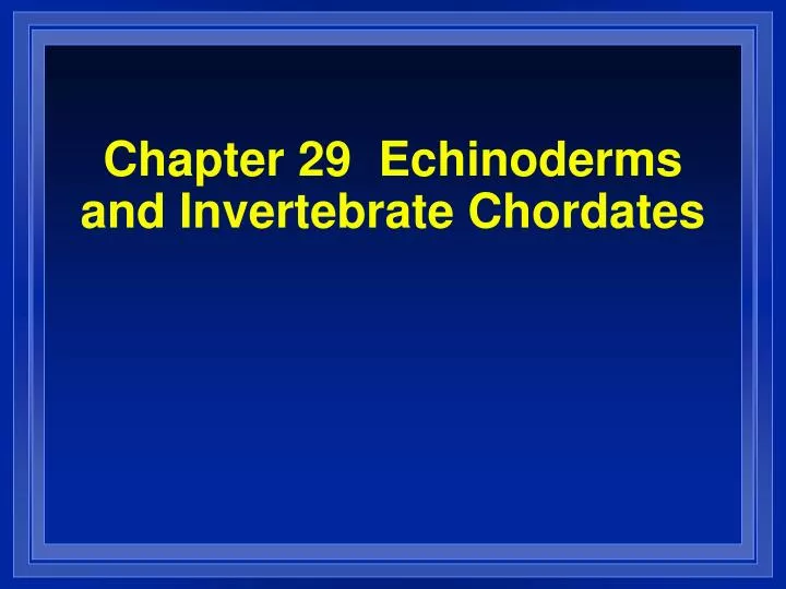 chapter 29 echinoderms and invertebrate chordates