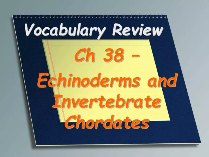 vocabulary review