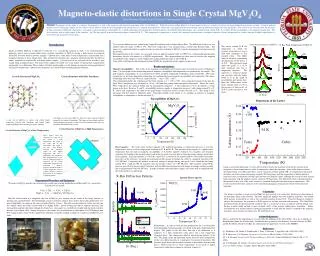 Magneto-elastic distortions in Single Crystal MgV 2 O 4