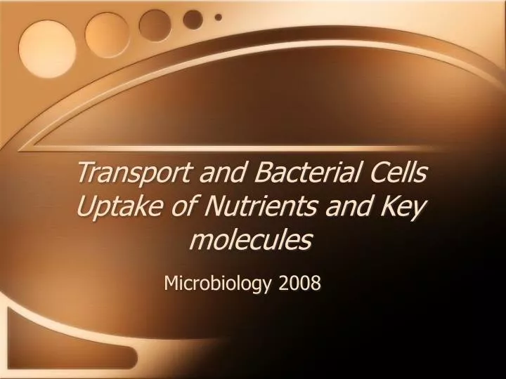 transport and bacterial cells uptake of nutrients and key molecules