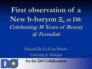 First observation of a New b-baryon ? b at D0: Celebrating 30 Years of Beauty @ Fermilab