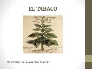 el tabaco