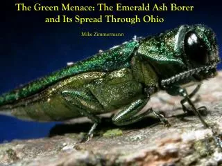 The Green Menace: The Emerald Ash Borer and Its Spread Through Ohio
