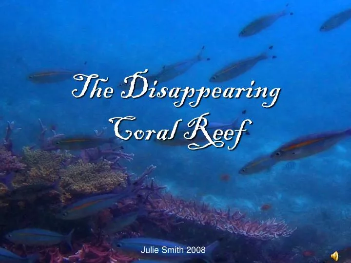the disappearing coral reef