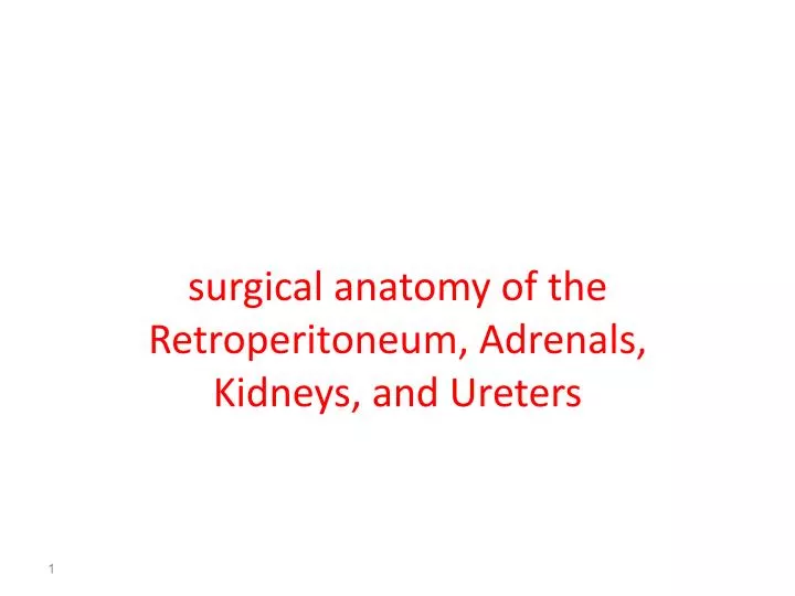 surgical anatomy of the surgical anatomy of the retroperitoneum adrenals kidneys and ureters