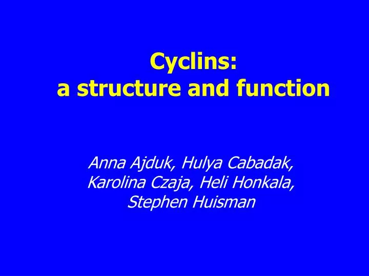 cyclins a structure and function